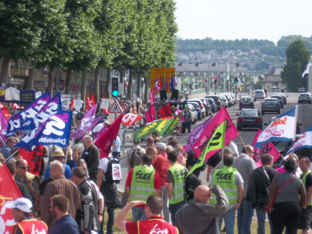 Manifestation cortège sud solidaires